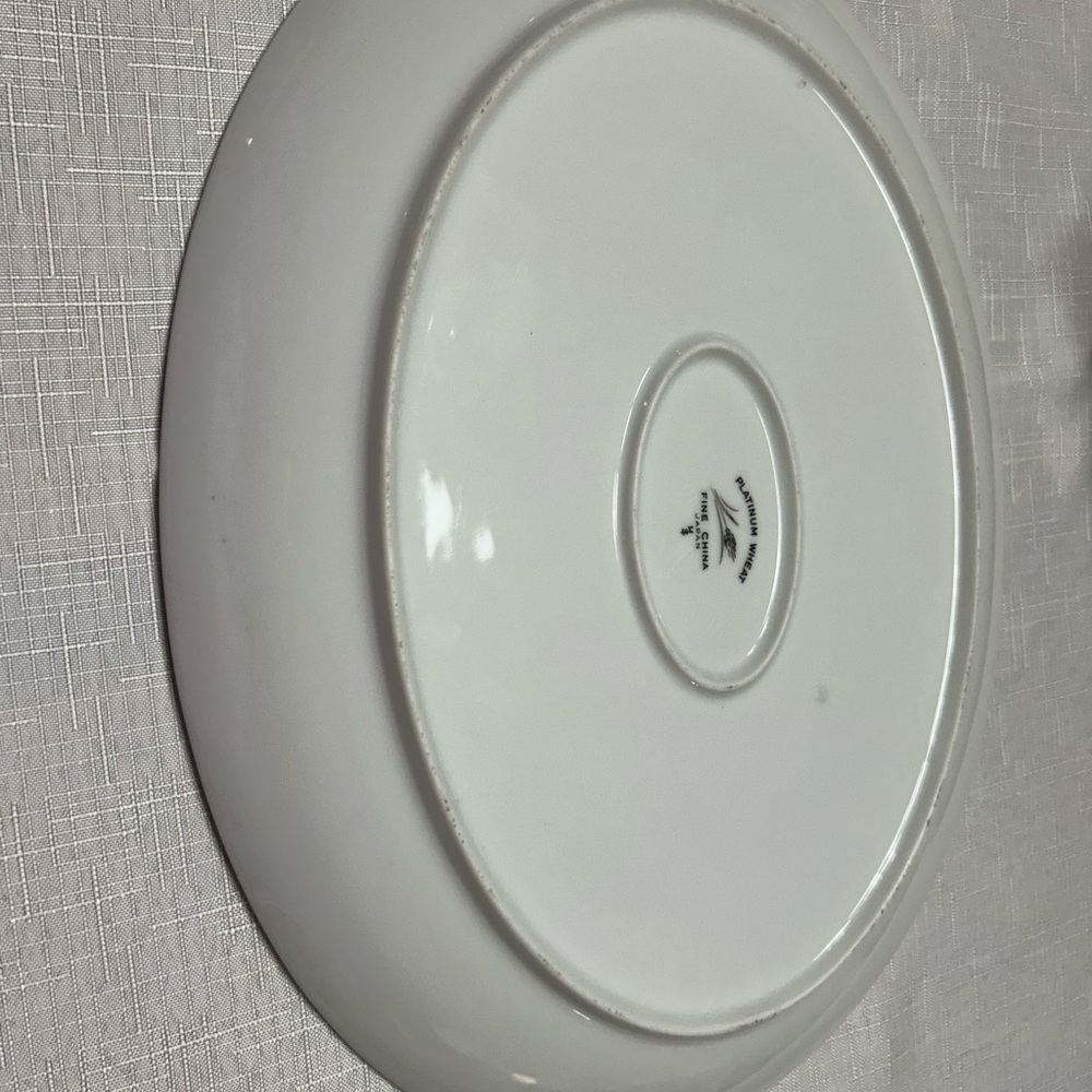 Elegant White Dinner Plate